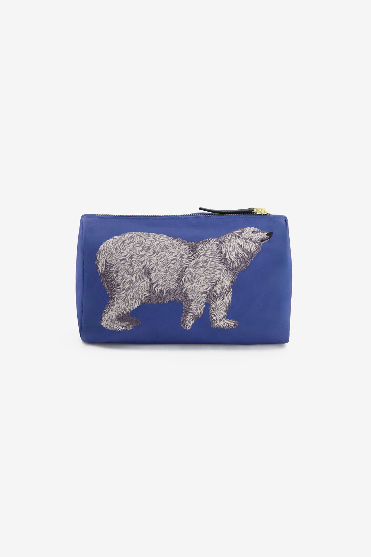 Case S - Ours - Blue