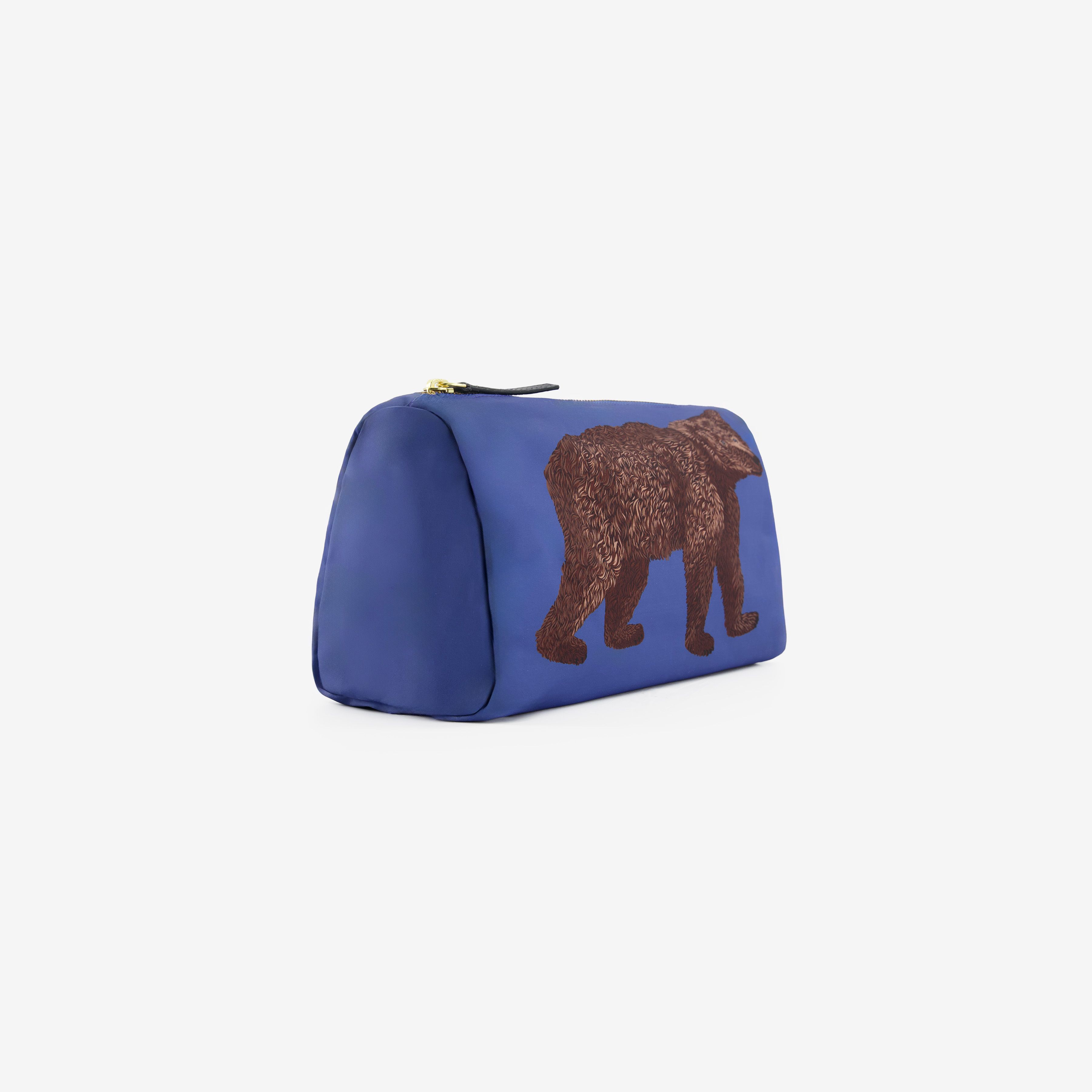 Case S - Ours - Blue