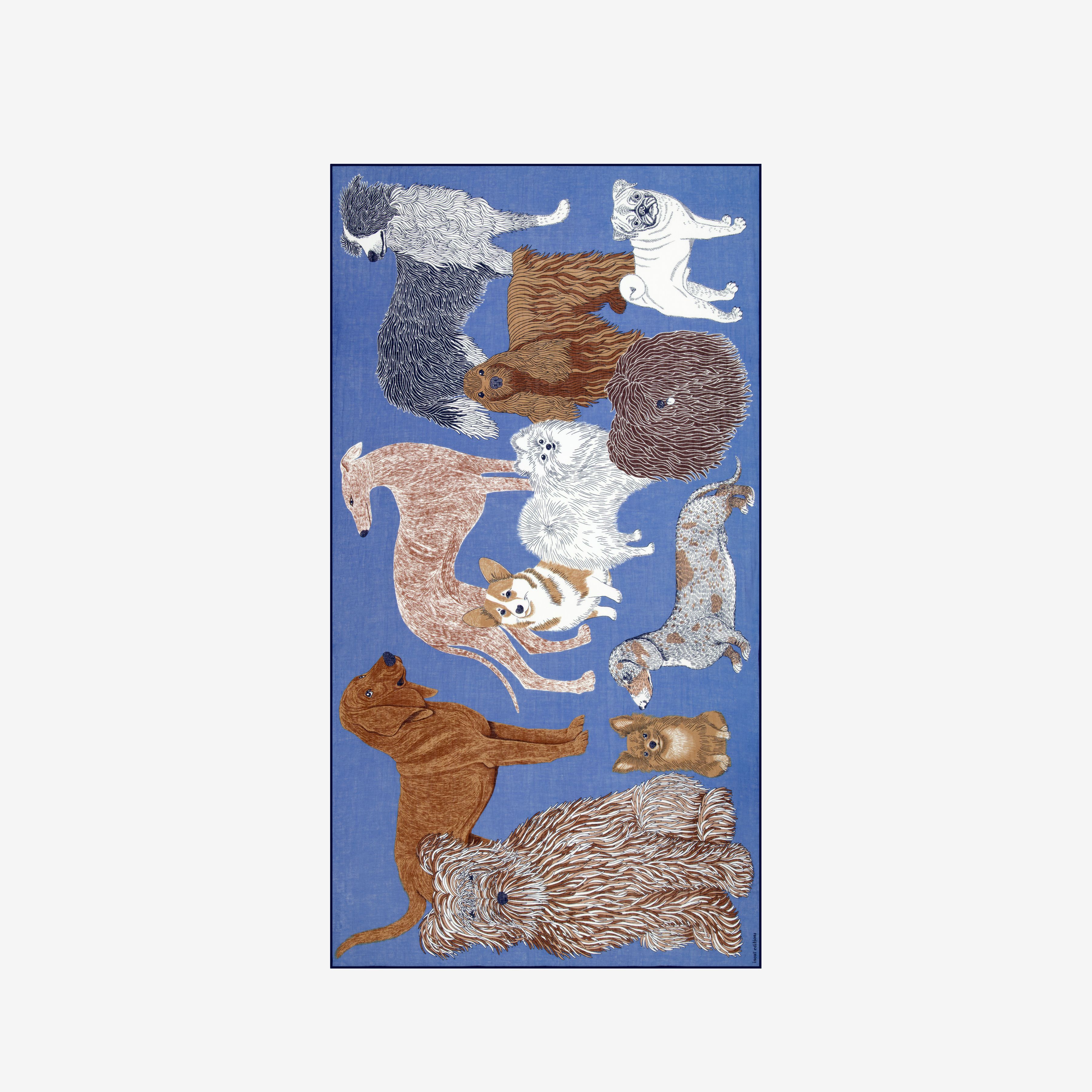Schal 100 Baumwolle - Toutou - Blau