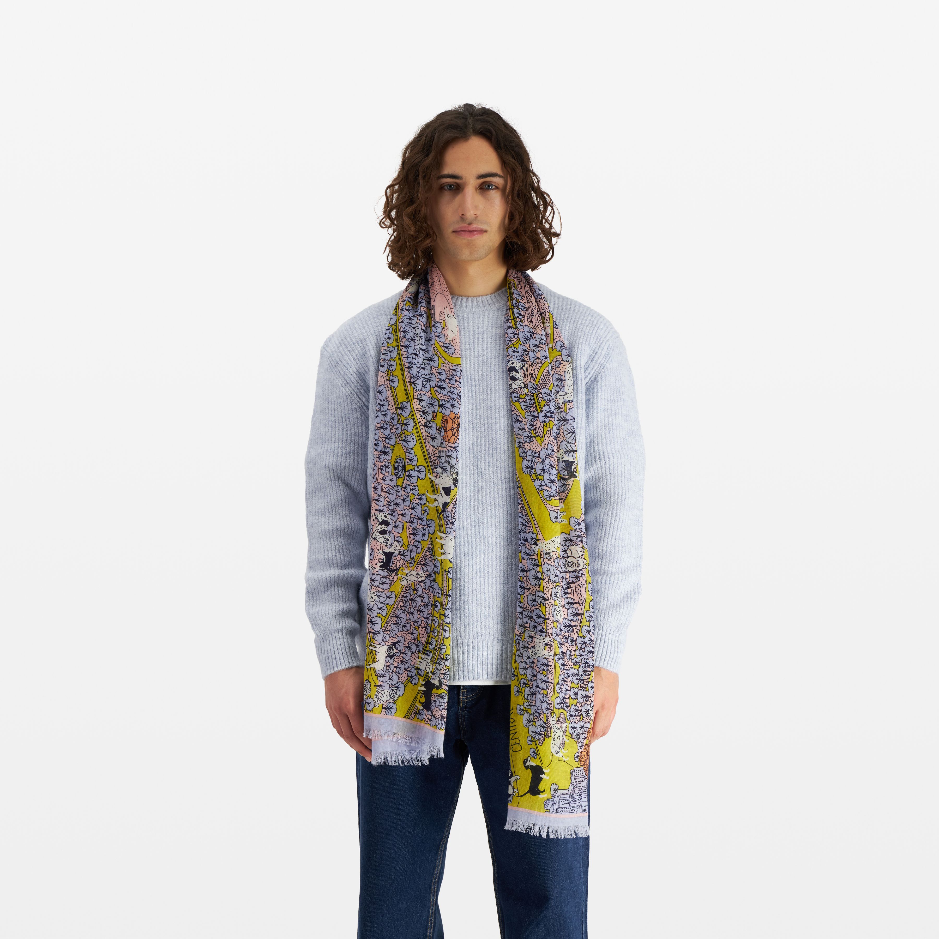 Scarf 70 - Central Park - Lilac — Inoui Editions