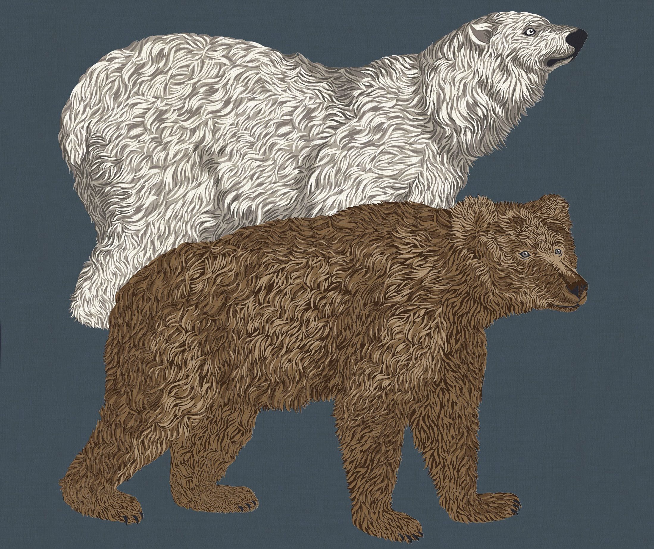 dibujo-ours-azul-Pañuelos_cuadrados