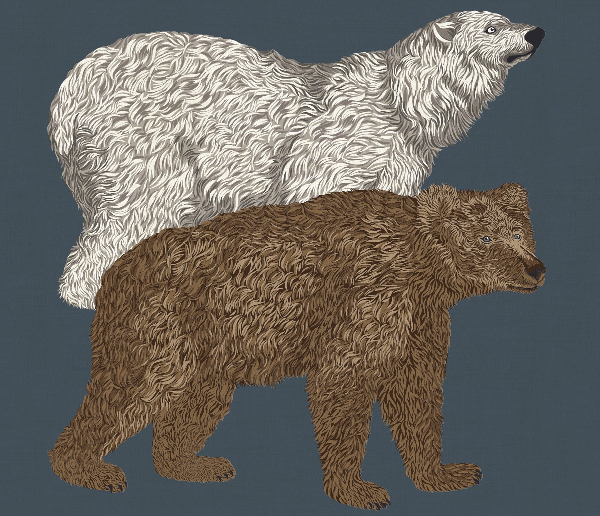 dibujo-ours-azul-Pañuelos_cuadrados
