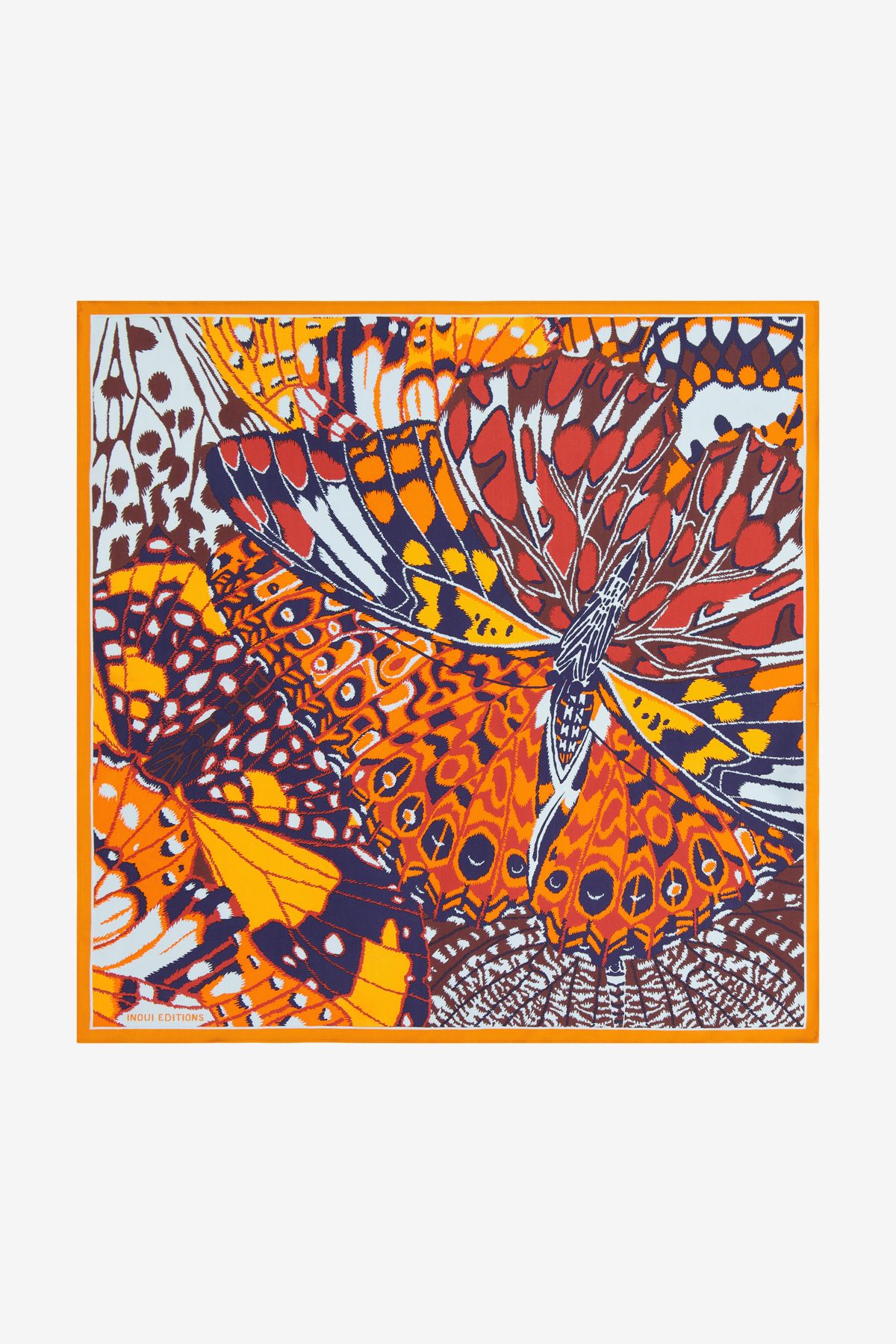 Square 65 - Papillons - Orange