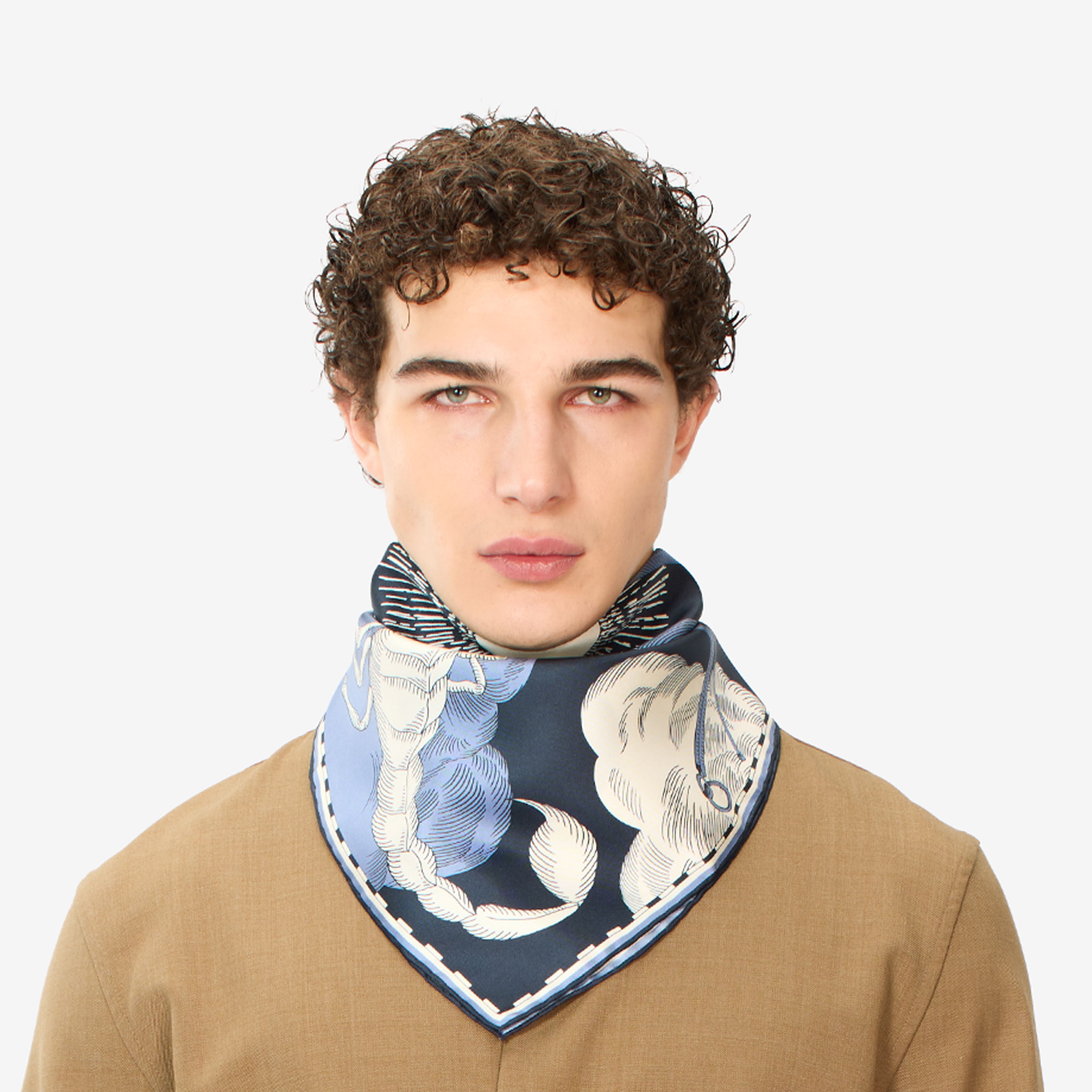Square 65 - Astro Scorpius - Blue