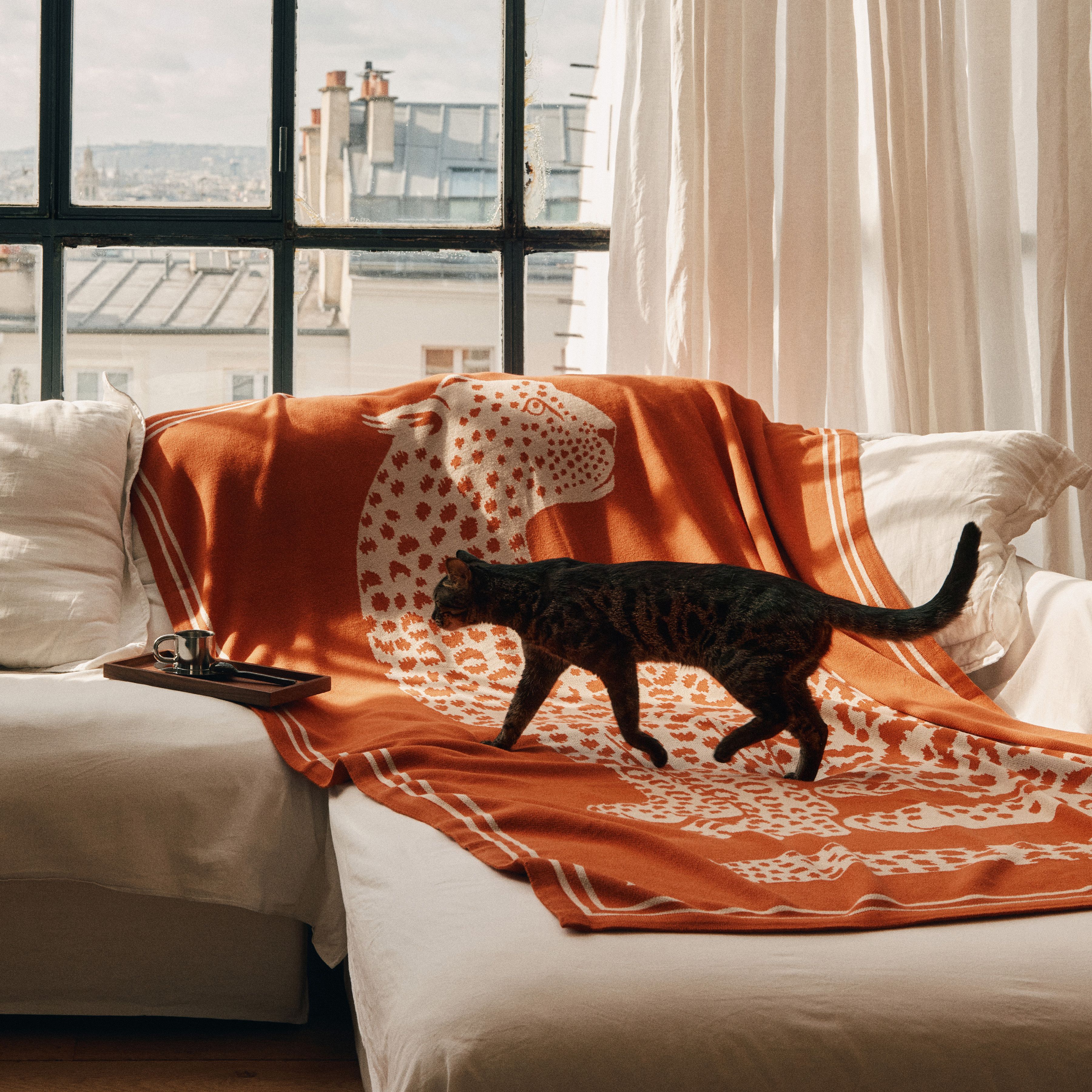 Throw - Fetiche - Orange