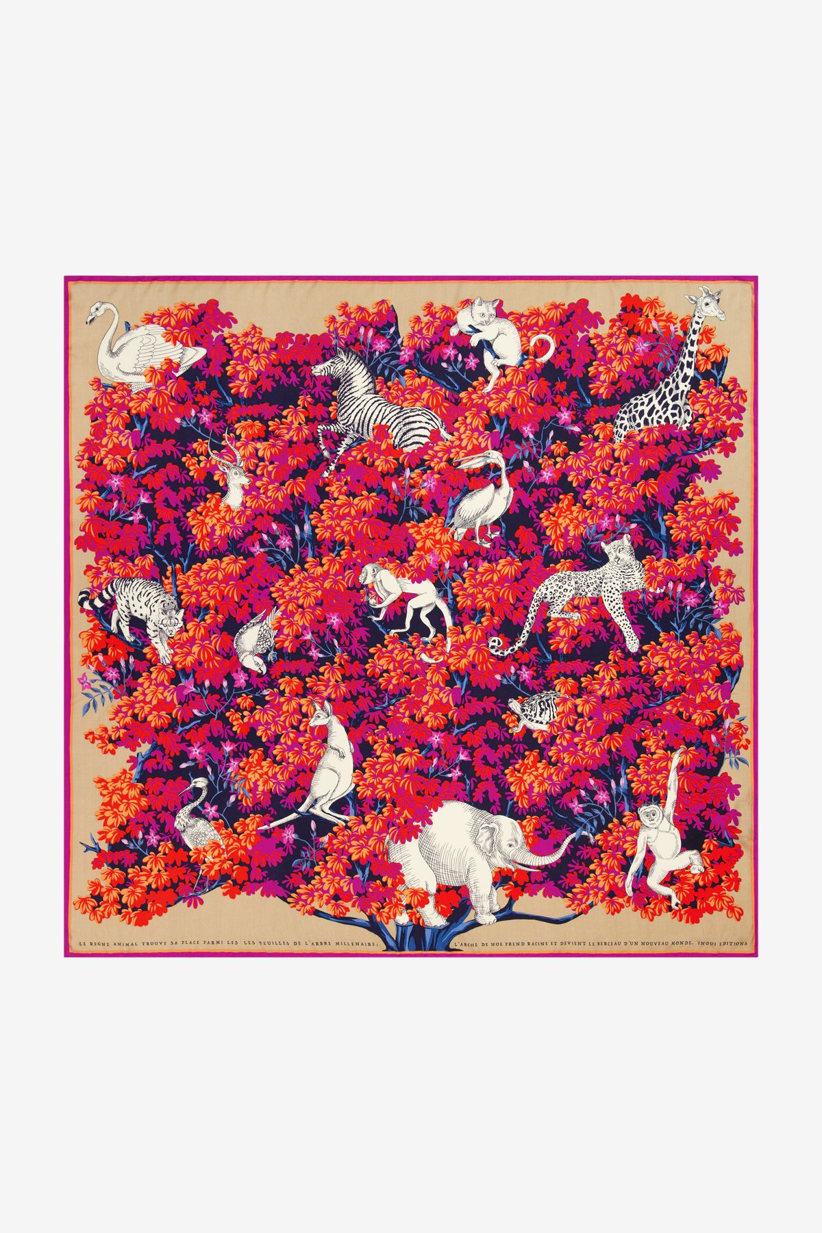 Square 130 - Bestiaire - Fuchsia